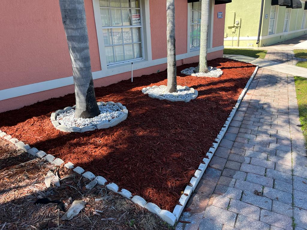 Recent project